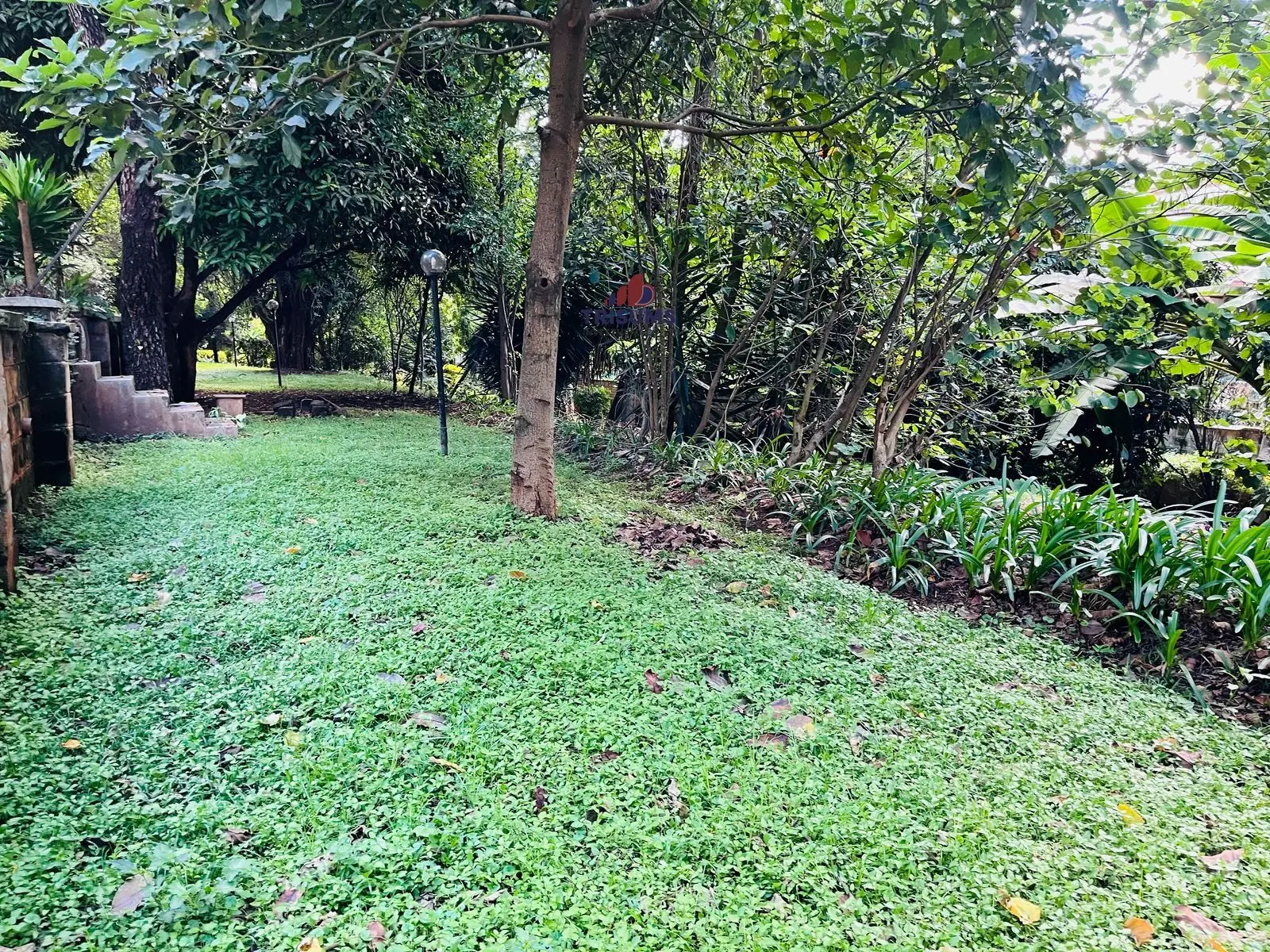 Prime 0.8-Acre Freehold Property in Lavington – Kshs 295M